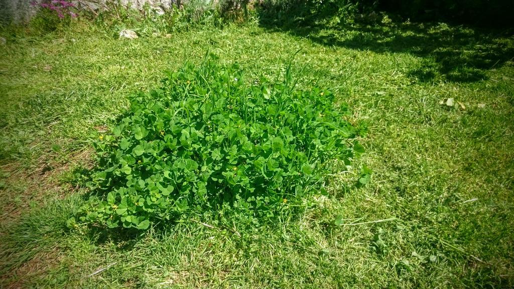 Stressfree Villa Ičići Εξωτερικό φωτογραφία