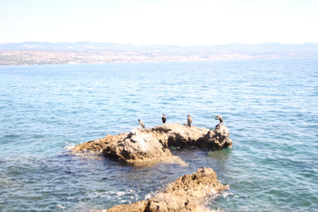 Stressfree Villa Ičići Εξωτερικό φωτογραφία